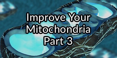 Improve Your Mitochondria Part 3: On The Importance L-carnitine