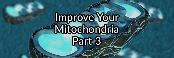 Improve Your Mitochondria Part 3: On The Importance L-carnitine