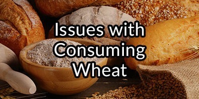 Celiac Disease, Is the Ingestion of Gluten the Only Cause?