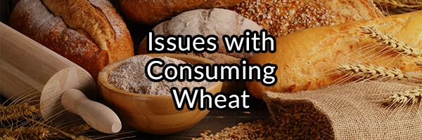 gluten-issues-consuming-wheat