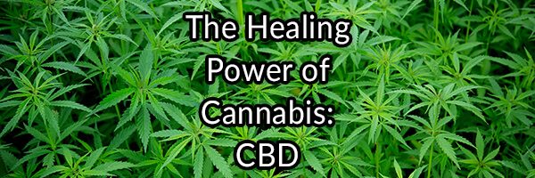 The Healing Power of Cannabis: CBD