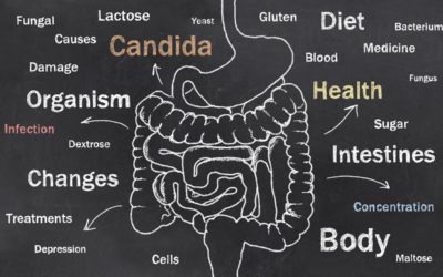 Candida Dysbiosis, Are You Suffering from It and What to Do About It
