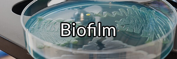 Biofilm: Why It Might Be Hard to Resolve Dysbiosis and How to Reduce It
