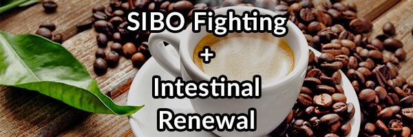 SIBO Fighting + Intestinal Renewal - Iced Bulletproof® Coffee Recipes