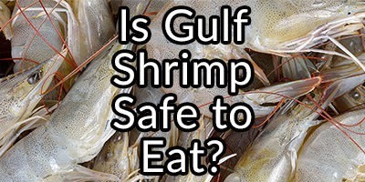 Is Gulf of Mexico Shrimp Safe to Eat after the BP Spill?