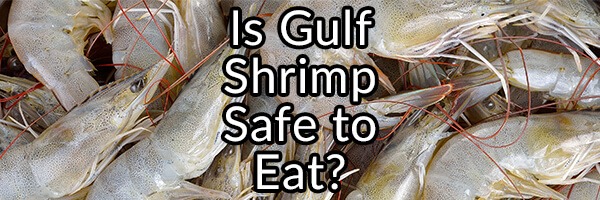 Is Gulf of Mexico Shrimp Safe to Eat after the BP Spill?