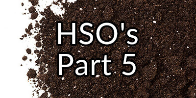 Did Our Ancestors Gorge Themselves on Dirt and Ingest HSO’s Regularly?