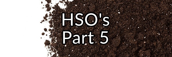 Did Our Ancestors Gorge Themselves on Dirt and Ingest HSO’s Regularly?