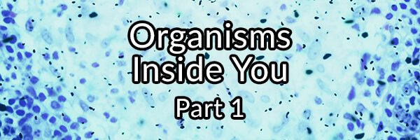 Organisms Inside You - Part 1: Blastocystis hominis