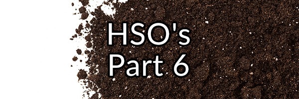 hsos-part-6-enterococcus-faecalis