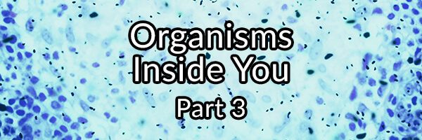 Organisms Inside You - Part 3: Entamoeba histolytica