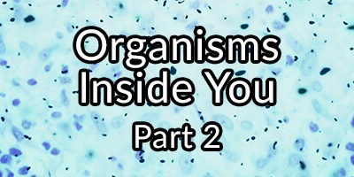 Organisms Inside You Part 2: Cryptosporidium