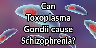 Schizophrenia Might Be Caused By Toxoplasma gondii