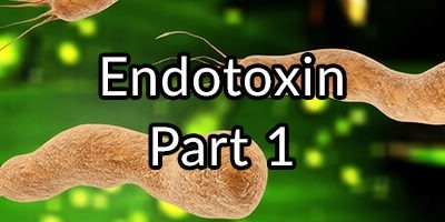Endotoxin: Part 1 – How Opportunistic Bacteria Damage Your Heart