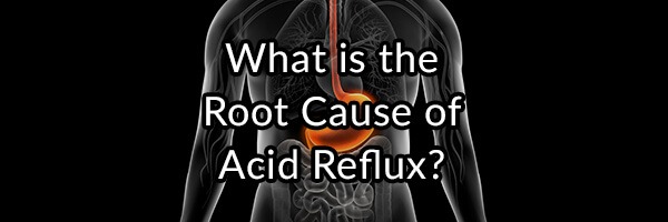 the-gerd-enigma-what-is-the-root-cause-of-acid-reflux