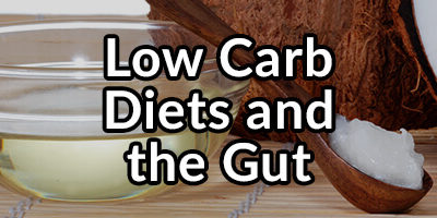 Low Carb Diets and the Gut