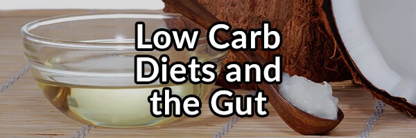 Low Carb Diets and the Gut