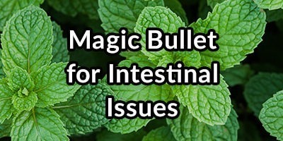 Magic Bullet for Intestinal Issues – Enteric Coated Peppermint Oil