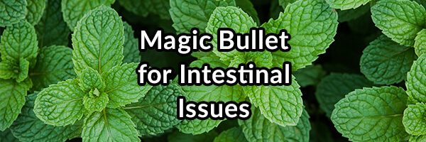Magic Bullet for Intestinal Issues - Enteric Coated Peppermint Oil