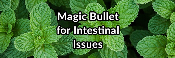 Magic Bullet for Intestinal Issues – Enteric Coated Peppermint Oil