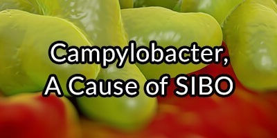 Campylobacter, A Cause of SIBO