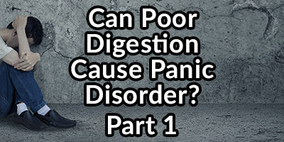 Can Poor Digestion Cause Panic Disorder? Part 1: CCK