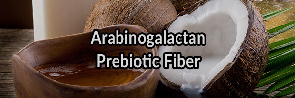 Arabinogalactan Prebiotic Fiber: I’m Cautiously Optimistic, A Review