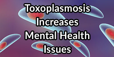 Toxoplasmosis Increases Rage, Impulse, and Mental Health Issues