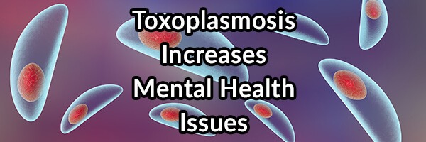 Toxoplasmosis Increases Rage, Impulse, and Mental Health Issues