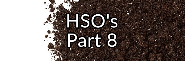 hsos-part-8-why-i-am-on-the-fence-in-recommending-bacillus-coagulans