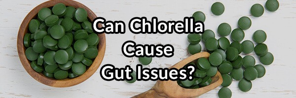 Why Chlorella/Spirulina May Make You Ill and Cause Poor Digestion