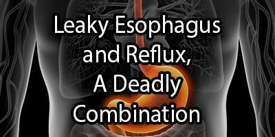 Endotoxin Reflux, A Cause of Leaky Esophagus and Cancer