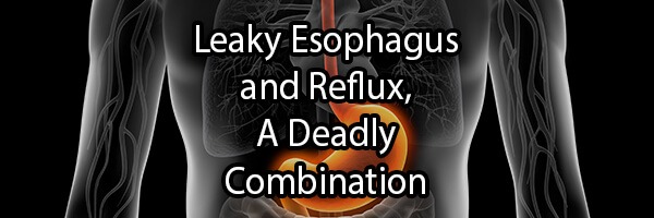 Endotoxin Reflux, A Cause of Leaky Esophagus and Cancer