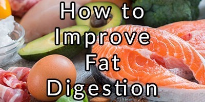 Bile Reflux, Weak Pyloric Sphincter, and How to Improve Fat Digestion