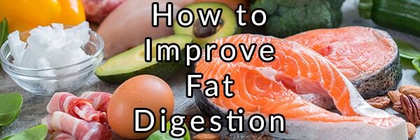 When Excess Fat in the Diet Can Cause Digestive Issues and How to Improve Fat Digestion