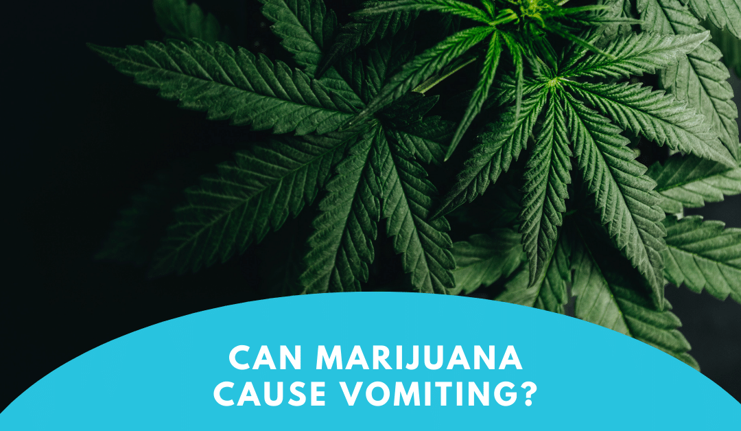 Marijuana Causing Vomiting? Cannabinoid Hyperemesis Syndrome 